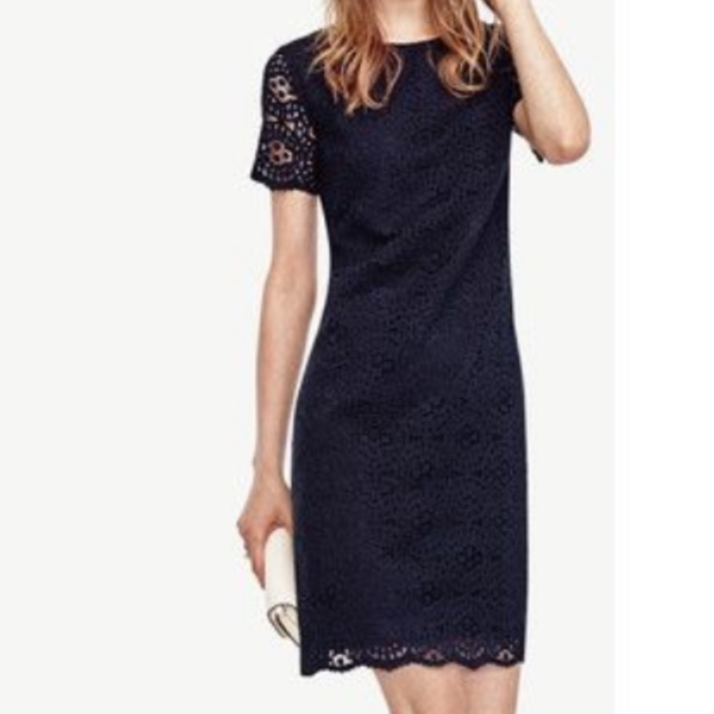 Navy Ann Taylor Lace Shift Dress